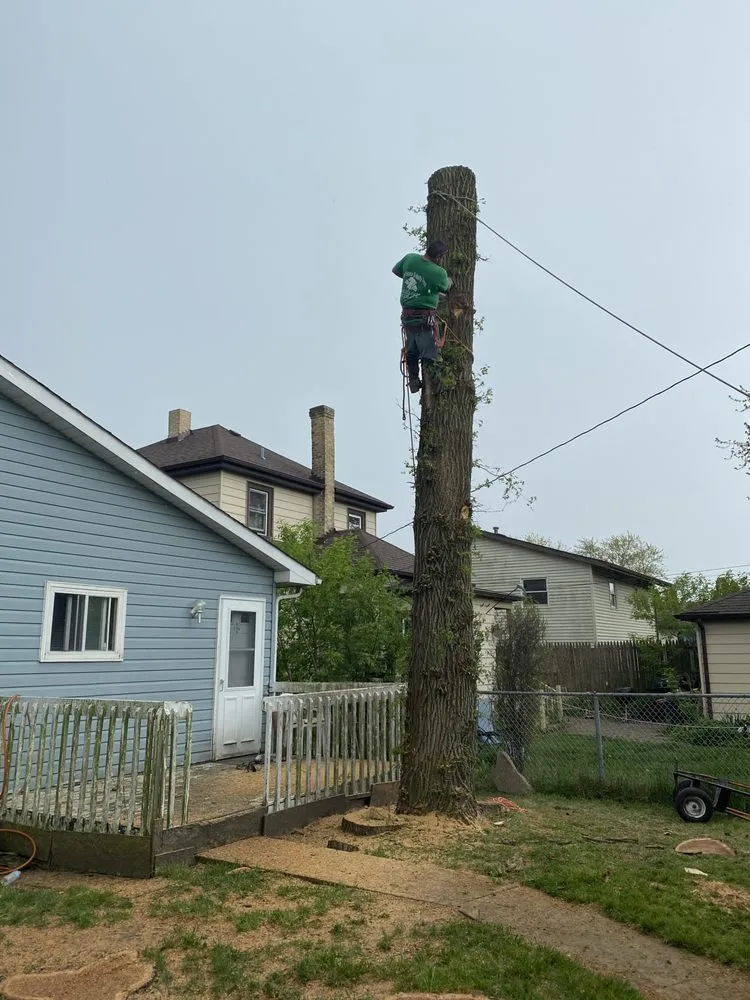 Expert lawn mowing service experts serving Waukegan, IL - Jcca Tree and Lawn