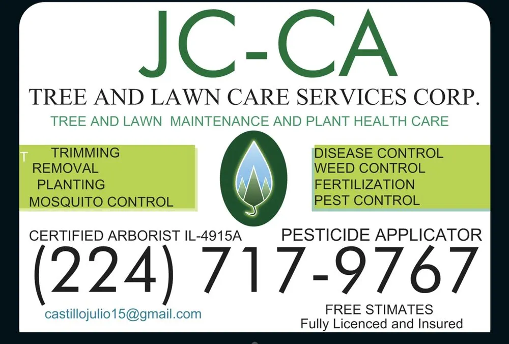 Custom landscape installation in Waukegan, IL - Jcca Tree and Lawn