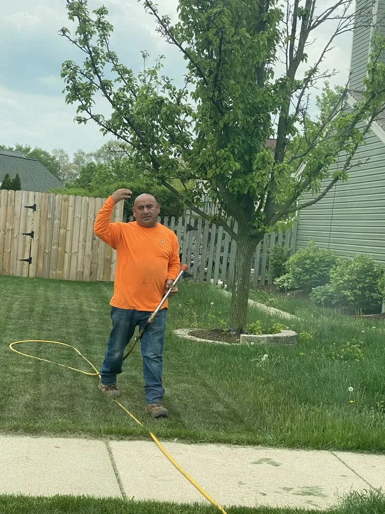 Local landscape design in Waukegan, IL by Jcca Tree and Lawn