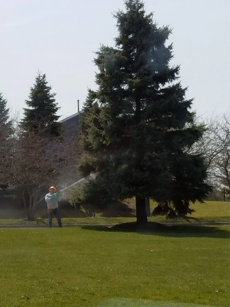 Reliable garden landscaping in Waukegan, IL - Jcca Tree and Lawn