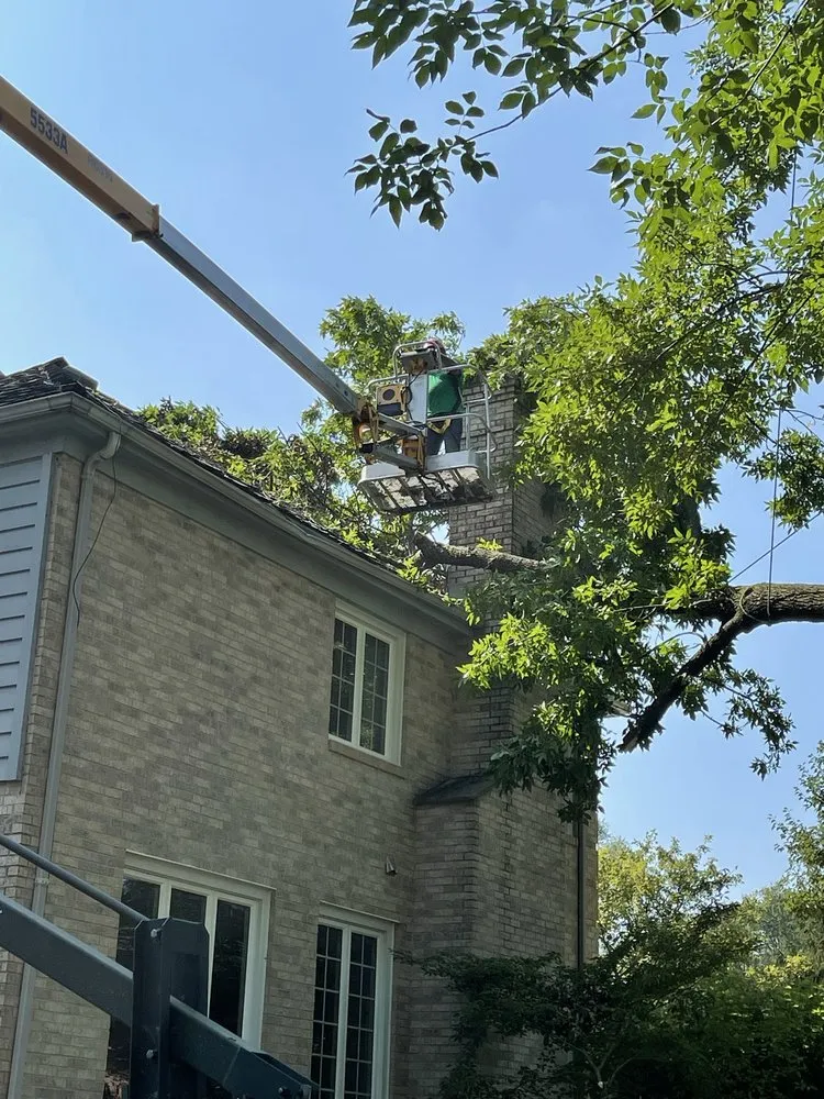 Expert garden landscaping in Waukegan, IL by Jcca Tree and Lawn