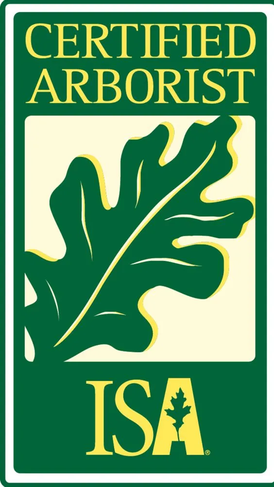 Trusted landscaping services experts serving Waukegan, IL - Jcca Tree and Lawn