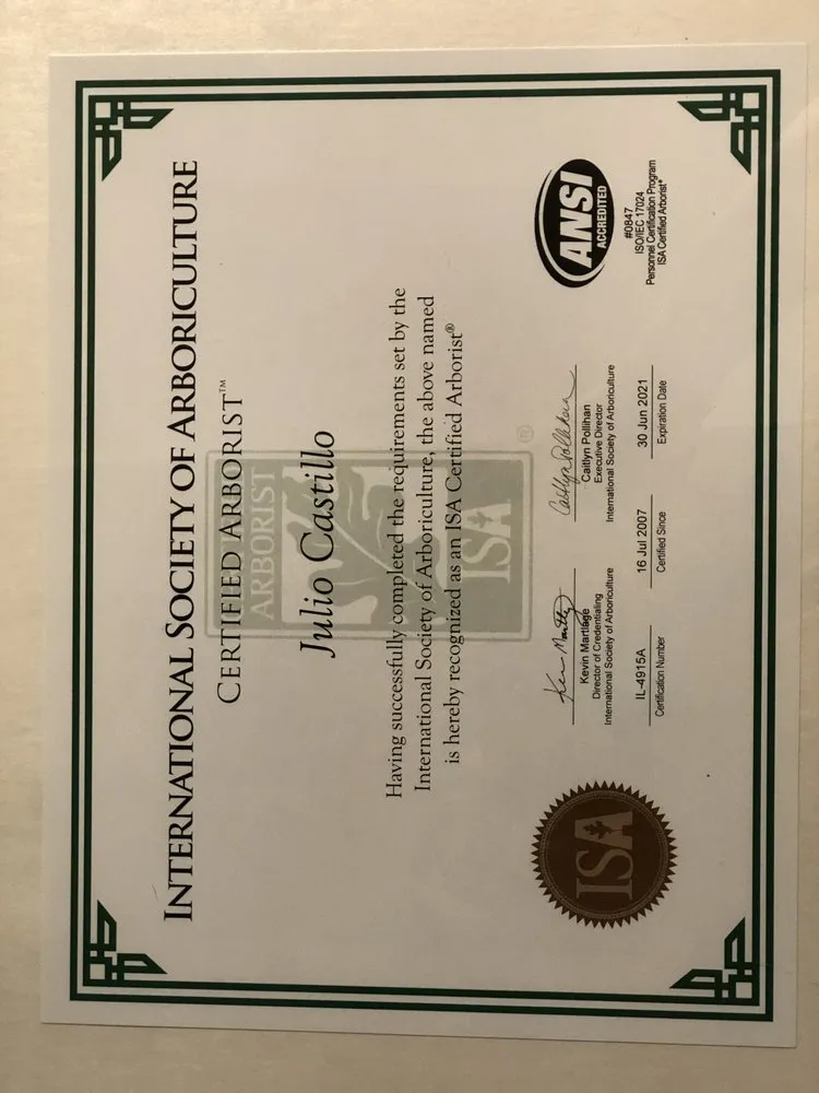 Affordable landscaping services experts serving Waukegan, IL - Jcca Tree and Lawn