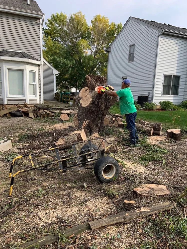 Local residential landscaping experts serving Waukegan, IL - Jcca Tree and Lawn