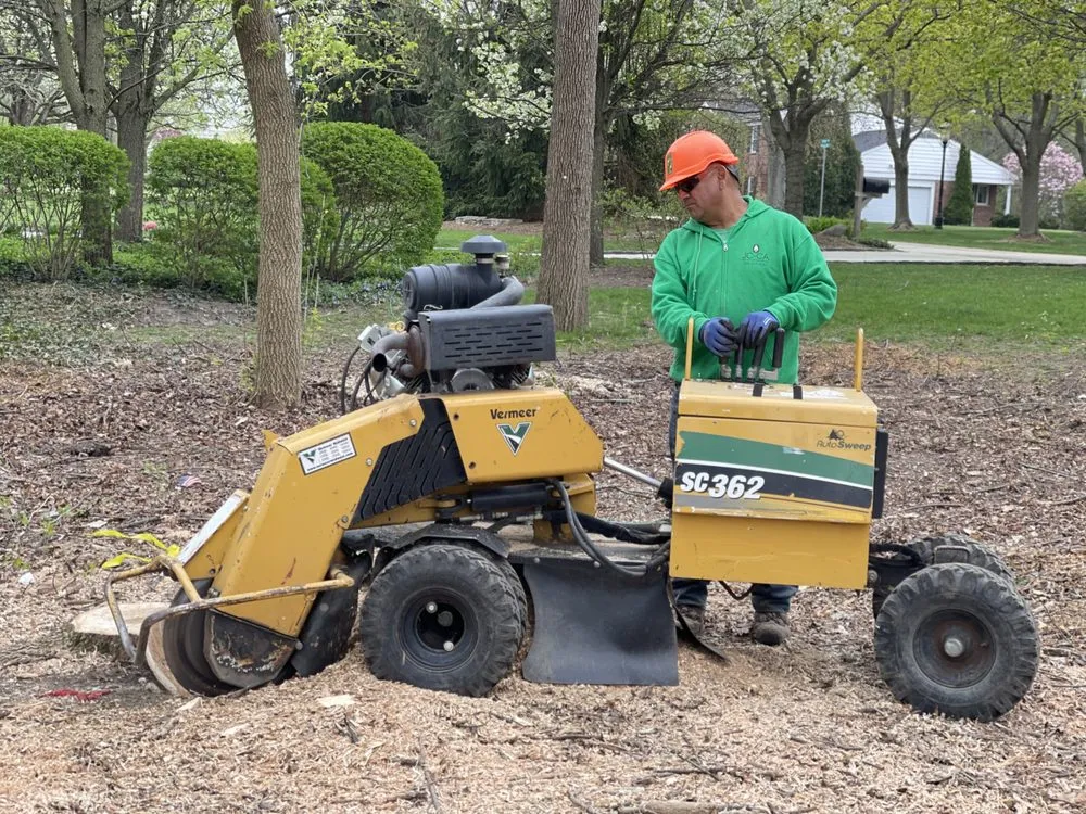 Local landscape installation in Waukegan, IL by Jcca Tree and Lawn