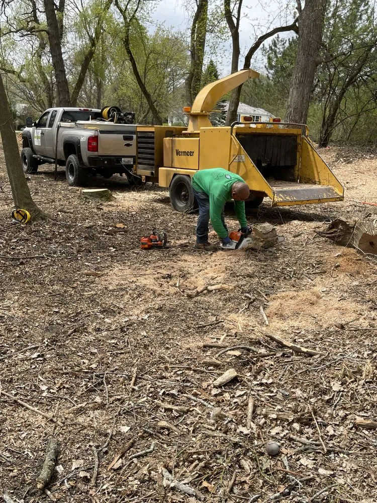 Top-rated residential landscaping in Waukegan, IL - Jcca Tree and Lawn