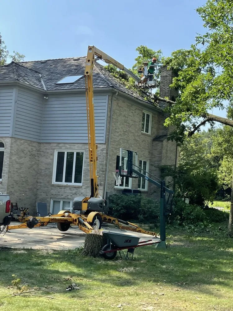 Top-rated yard maintenance in Waukegan, IL by Jcca Tree and Lawn