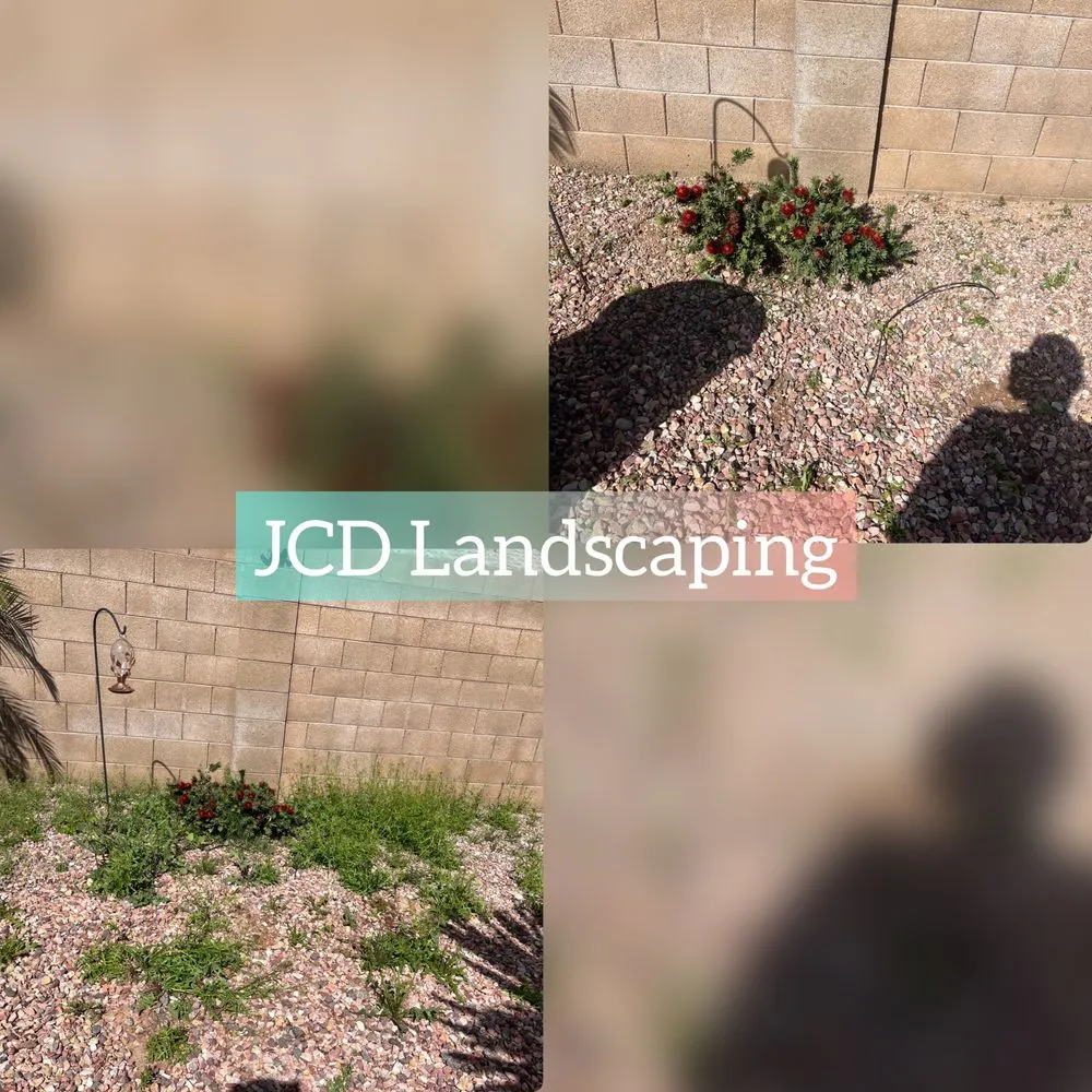 Local landscape design in Buckeye, AZ - JCD Landscaping