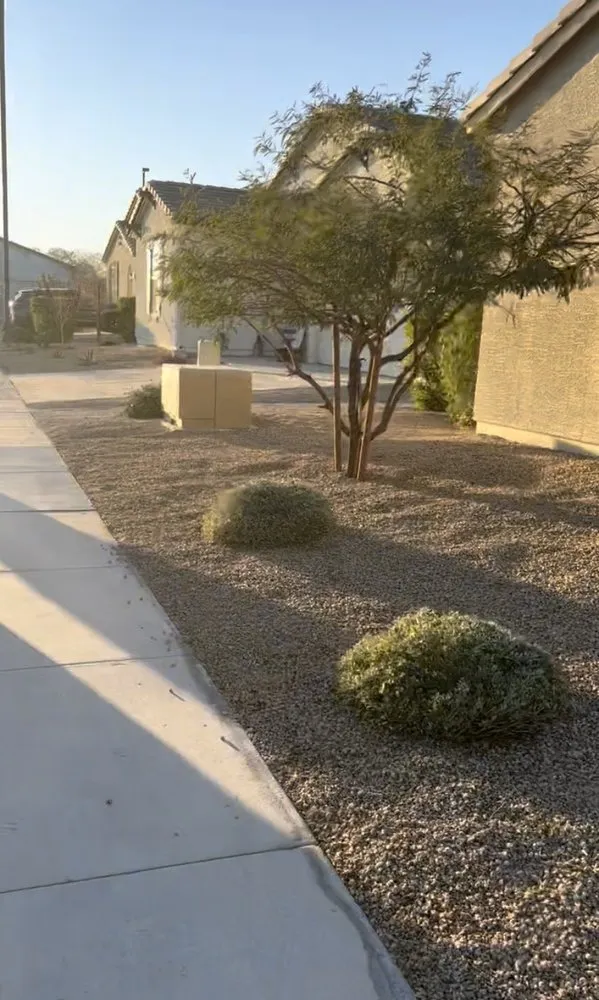 Local yard maintenance in Buckeye, AZ - JCD Landscaping