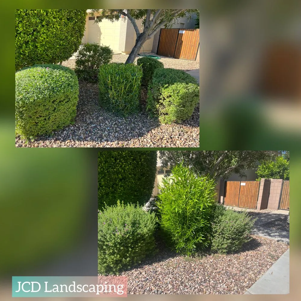 Affordable outdoor landscaping in Buckeye, AZ - JCD Landscaping