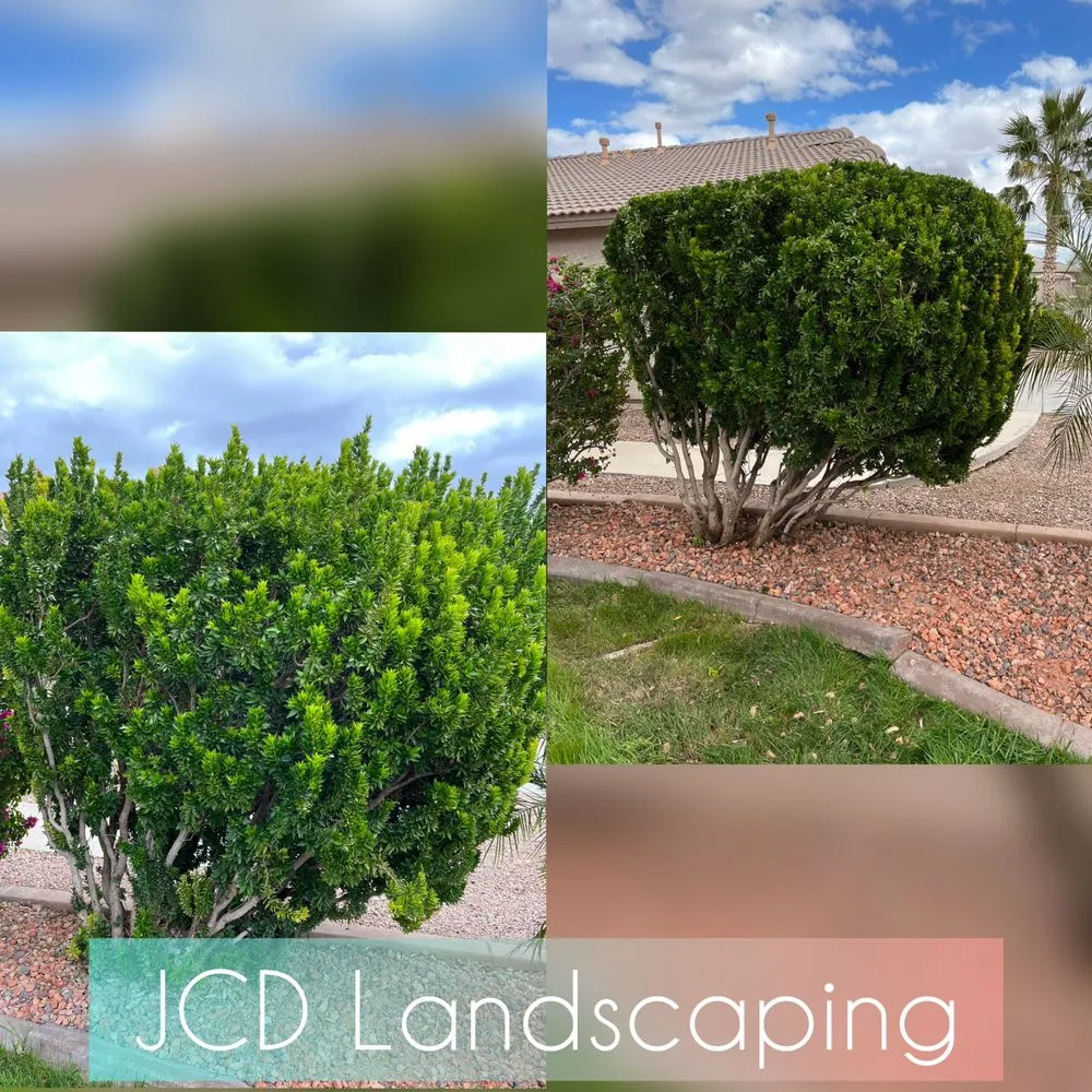 Expert outdoor landscaping for year-round maintenance in Buckeye, AZ by JCD Landscaping