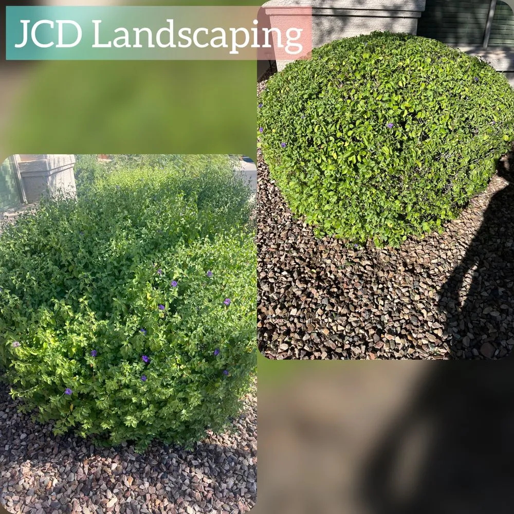 Custom landscape installation in Buckeye, AZ - JCD Landscaping