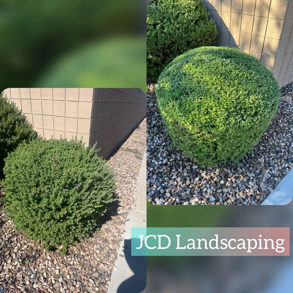 Reliable lawn mowing service with custom design across Buckeye, AZ - JCD Landscaping