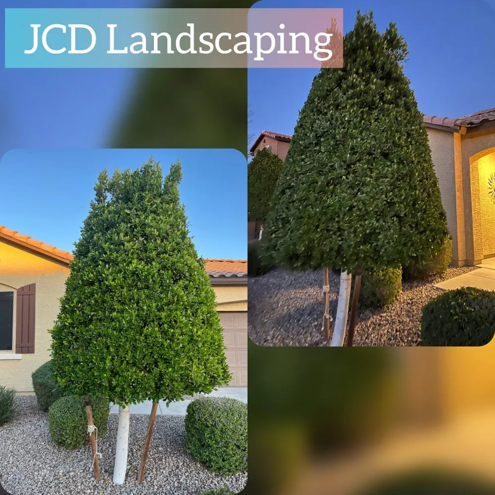 Local lawn care service with custom design in Buckeye, AZ by JCD Landscaping
