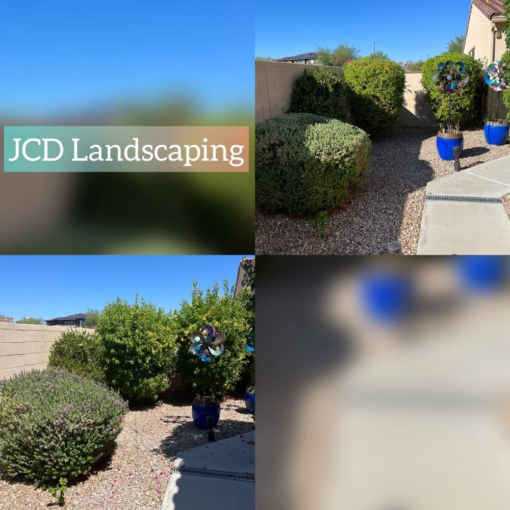 Professional lawn mowing service for homes in Buckeye, AZ by JCD Landscaping