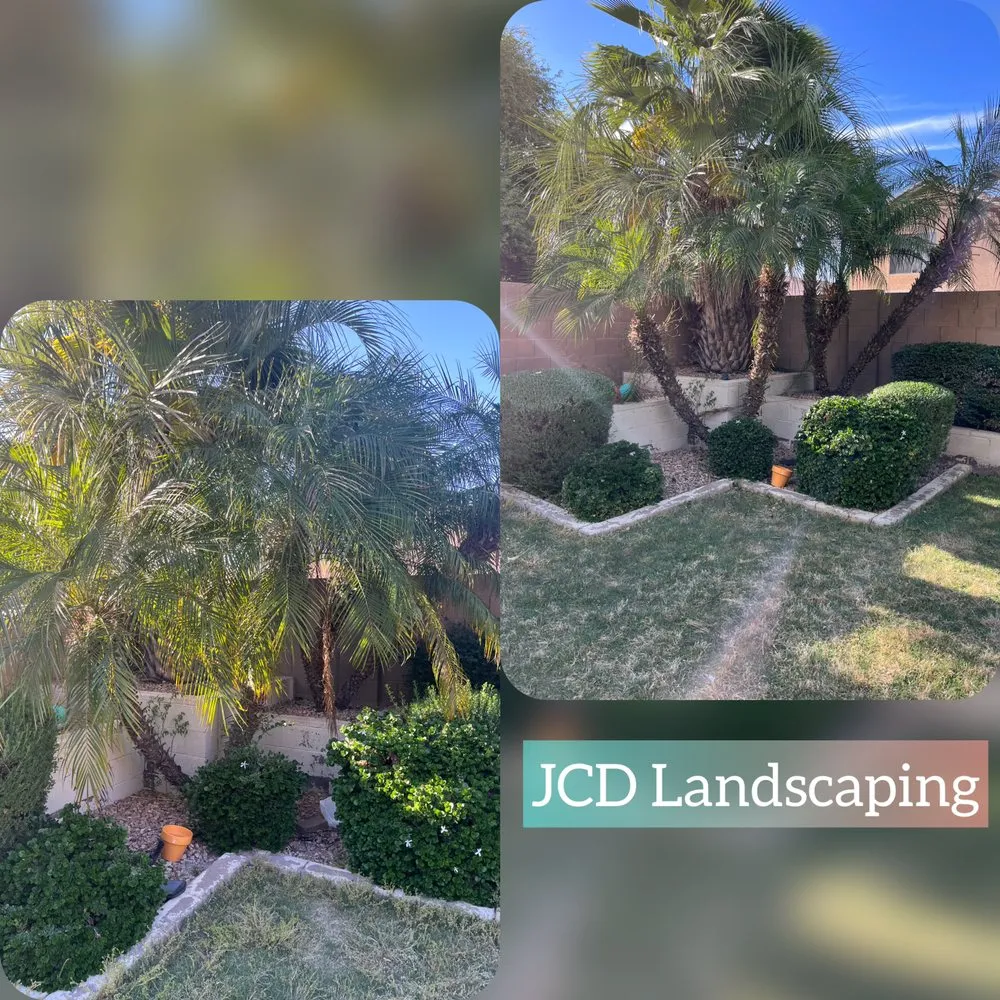 Trusted lawn mowing service in Buckeye, AZ - JCD Landscaping