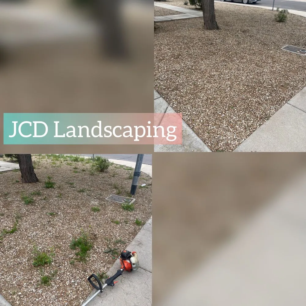 Custom landscape design with custom design across Buckeye, AZ - JCD Landscaping