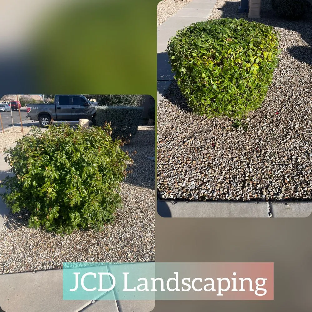 Trusted yard maintenance near you in Buckeye, AZ by JCD Landscaping