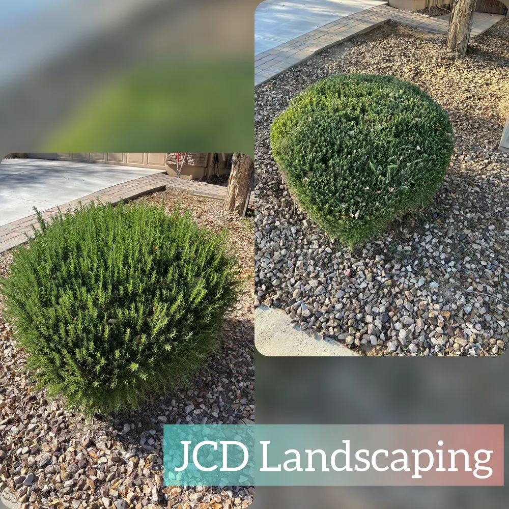 Top-rated garden landscaping for beautiful yards in Buckeye, AZ by JCD Landscaping