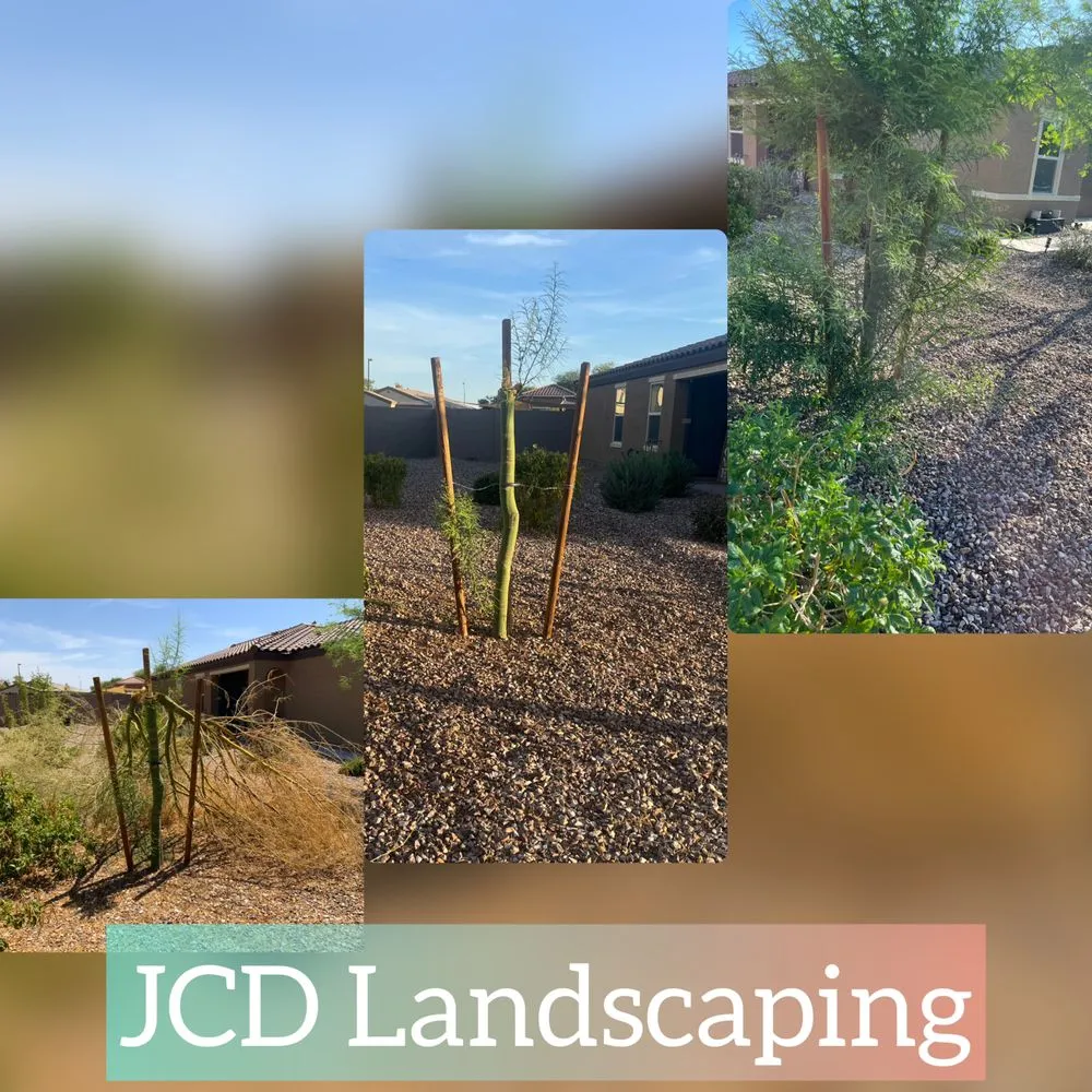 Trusted landscaping services experts serving Buckeye, AZ - JCD Landscaping