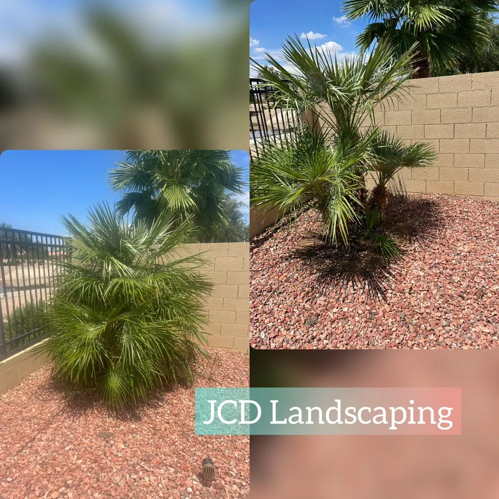 Reliable lawn mowing service in Buckeye, AZ by JCD Landscaping