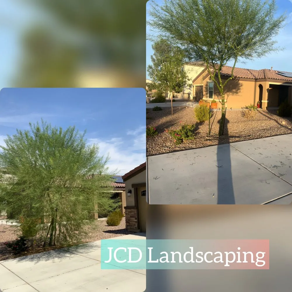 Trusted lawn care service experts serving Buckeye, AZ - JCD Landscaping