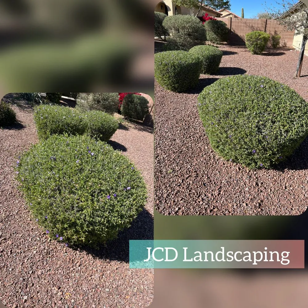 Affordable yard maintenance in Buckeye, AZ by JCD Landscaping