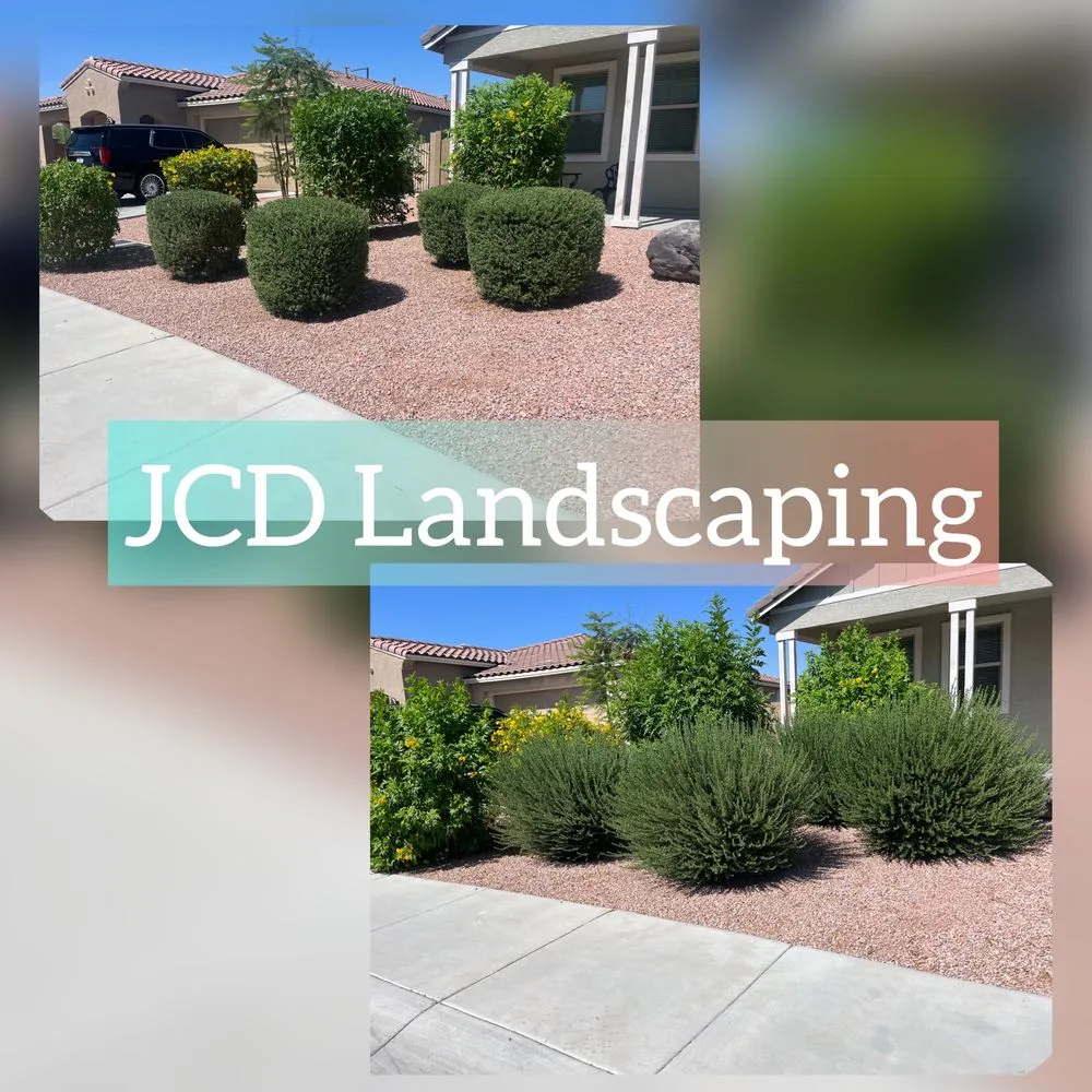 Professional lawn care service with custom design across Buckeye, AZ - JCD Landscaping