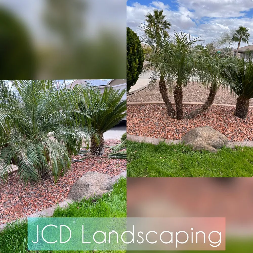 Trusted lawn care service for outdoor upgrades across Buckeye, AZ - JCD Landscaping