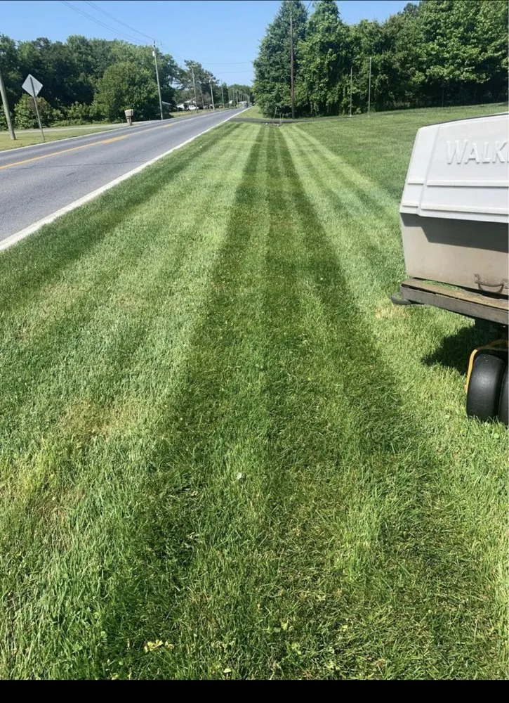 Custom yard cleanup service in Laurel, DE - JCD Lanscaping