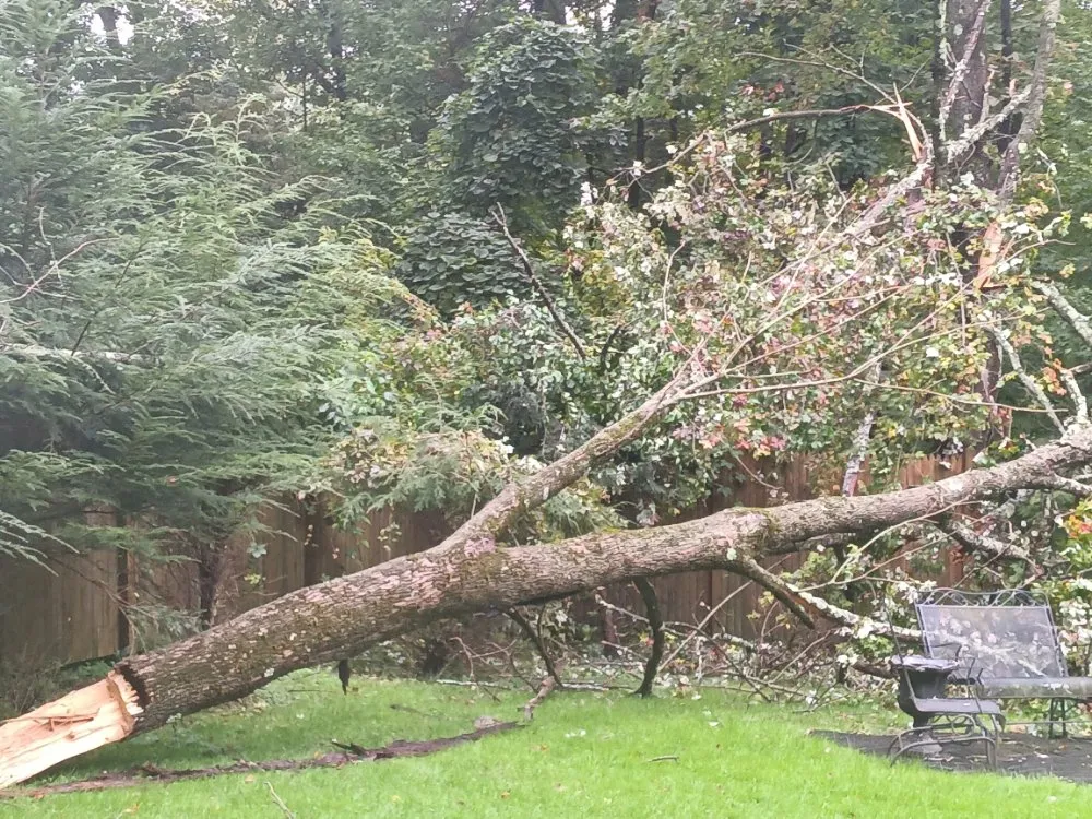 Top-rated landscape installation for outdoor upgrades in Norwalk, CT by JCD Tree service & Landscaping