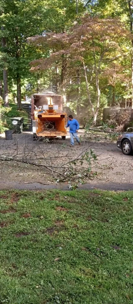 Reliable lawn care service in Norwalk, CT - JCD Tree service & Landscaping