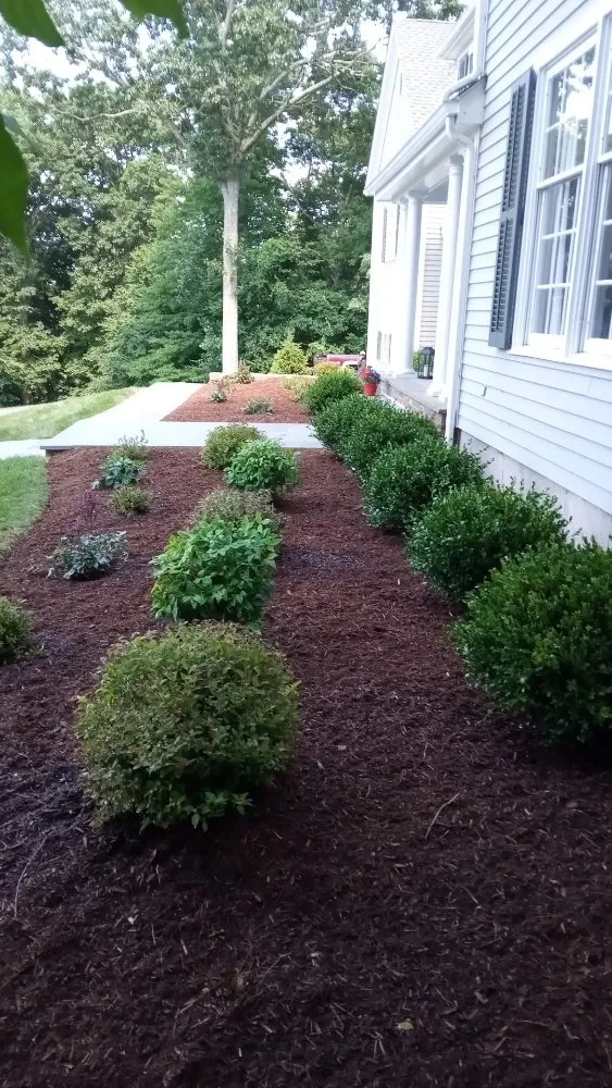Trusted yard cleanup service with custom design across Norwalk, CT - JCD Tree service & Landscaping