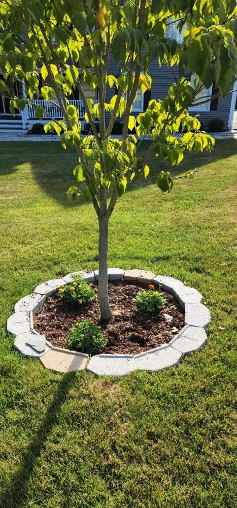 Top-rated lawn mowing service near you across Norwalk, CT - JCD Tree service & Landscaping