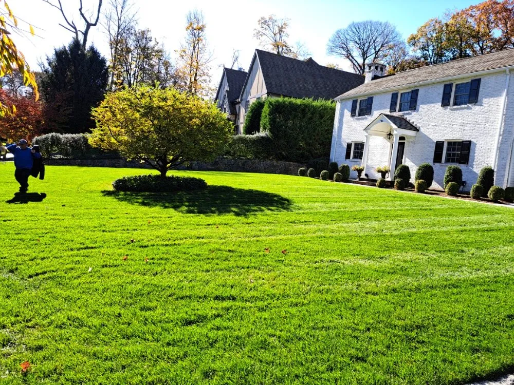 Affordable lawn mowing service in Norwalk, CT - JCD Tree service & Landscaping
