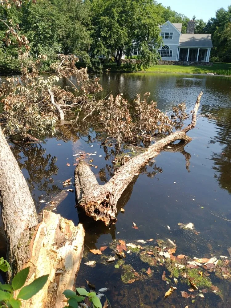 Expert residential landscaping in Norwalk, CT - JCD Tree service & Landscaping