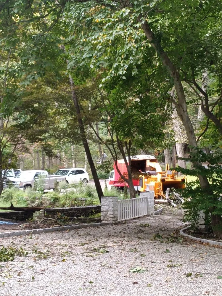 Trusted landscape installation in Norwalk, CT - JCD Tree service & Landscaping