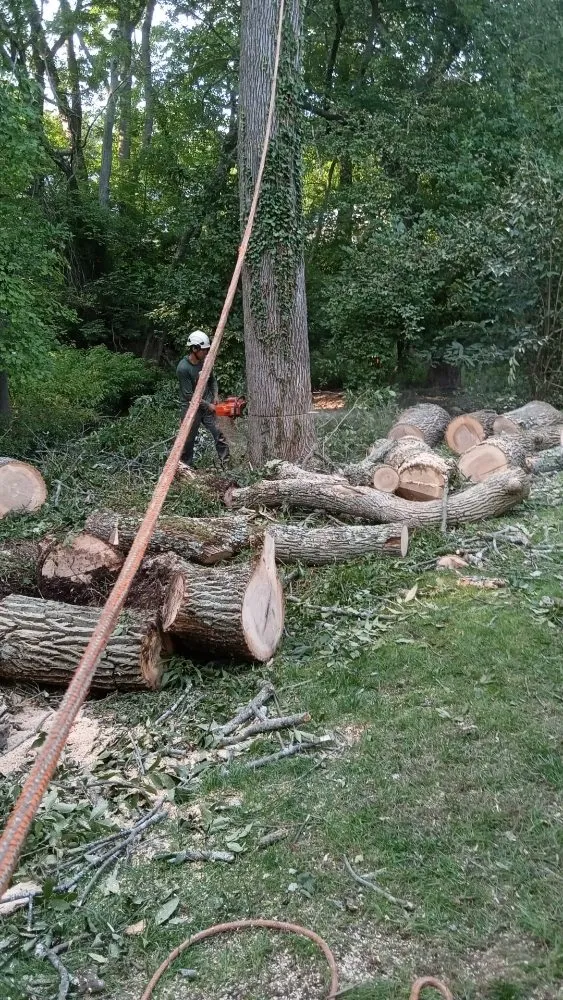 Custom landscape design experts serving Norwalk, CT - JCD Tree service & Landscaping