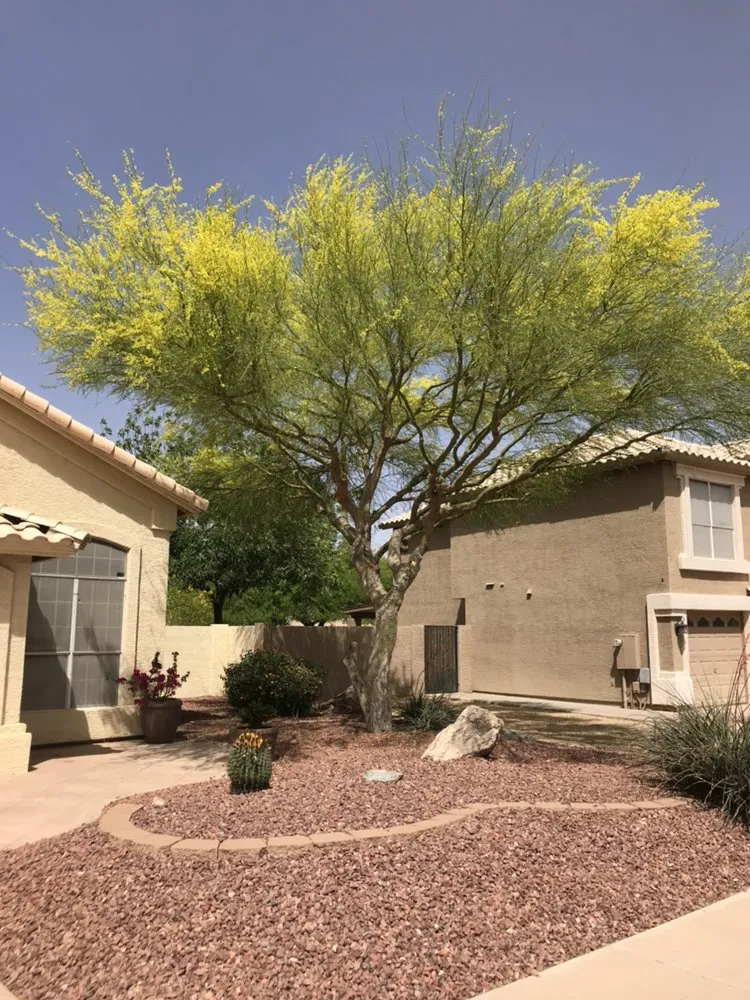 Local lawn care service for outdoor upgrades across Tolleson, AZ - JCG Landscape Installation & Maintenance Service, LLC