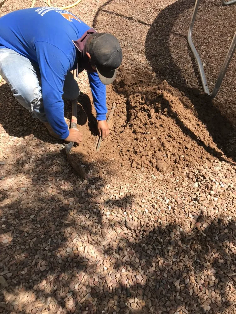 Professional landscape installation for beautiful yards in Tolleson, AZ by JCG Landscape Installation & Maintenance Service, LLC