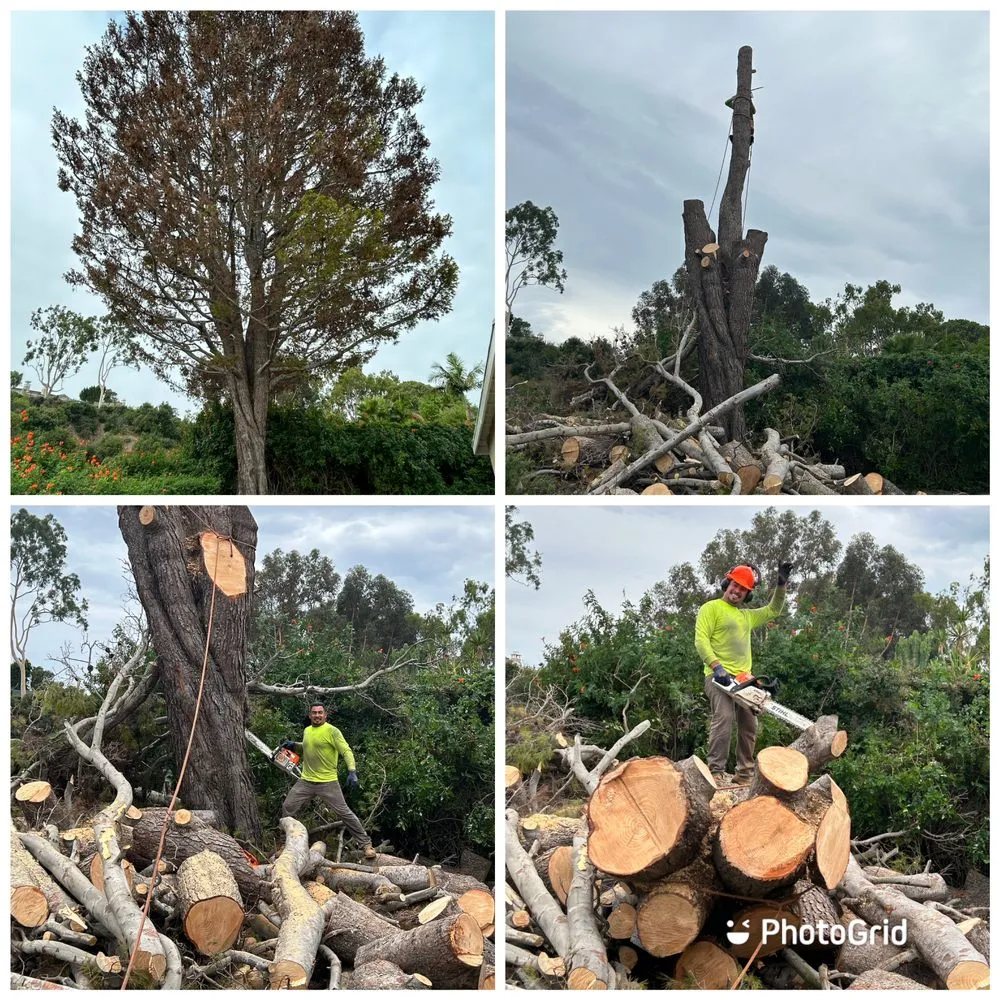 Top-rated garden landscaping near you across Santa Ana, CA - J.C.Gardening Services