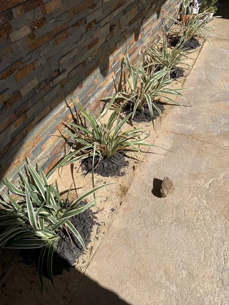 Trusted garden landscaping experts serving Santa Ana, CA - J.C.Gardening Services