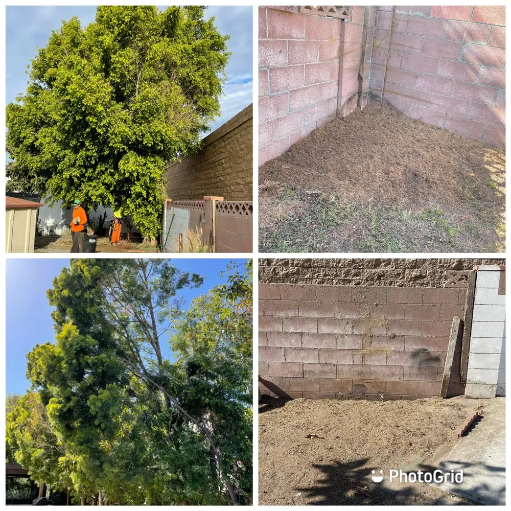 Reliable landscape installation experts serving Santa Ana, CA - J.C.Gardening Services
