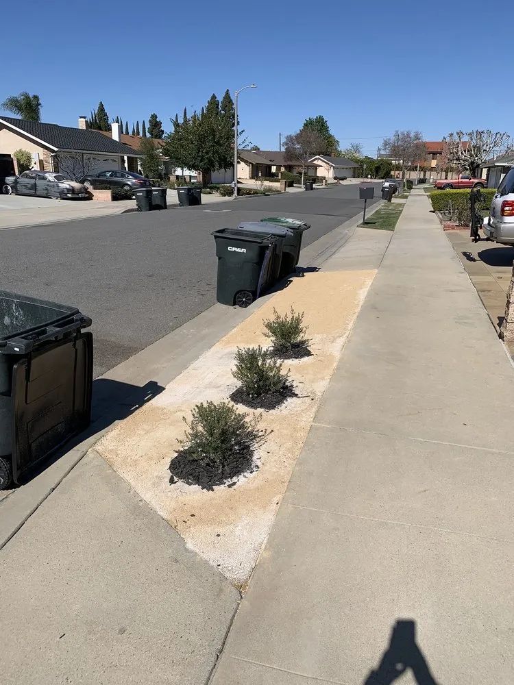 Top-rated landscape design in Santa Ana, CA by J.C.Gardening Services