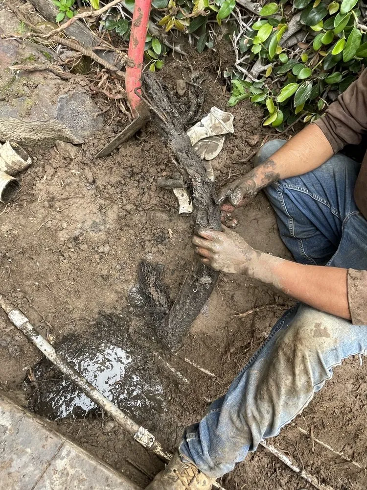 Local landscaping services in Santa Ana, CA - J.C.Gardening Services