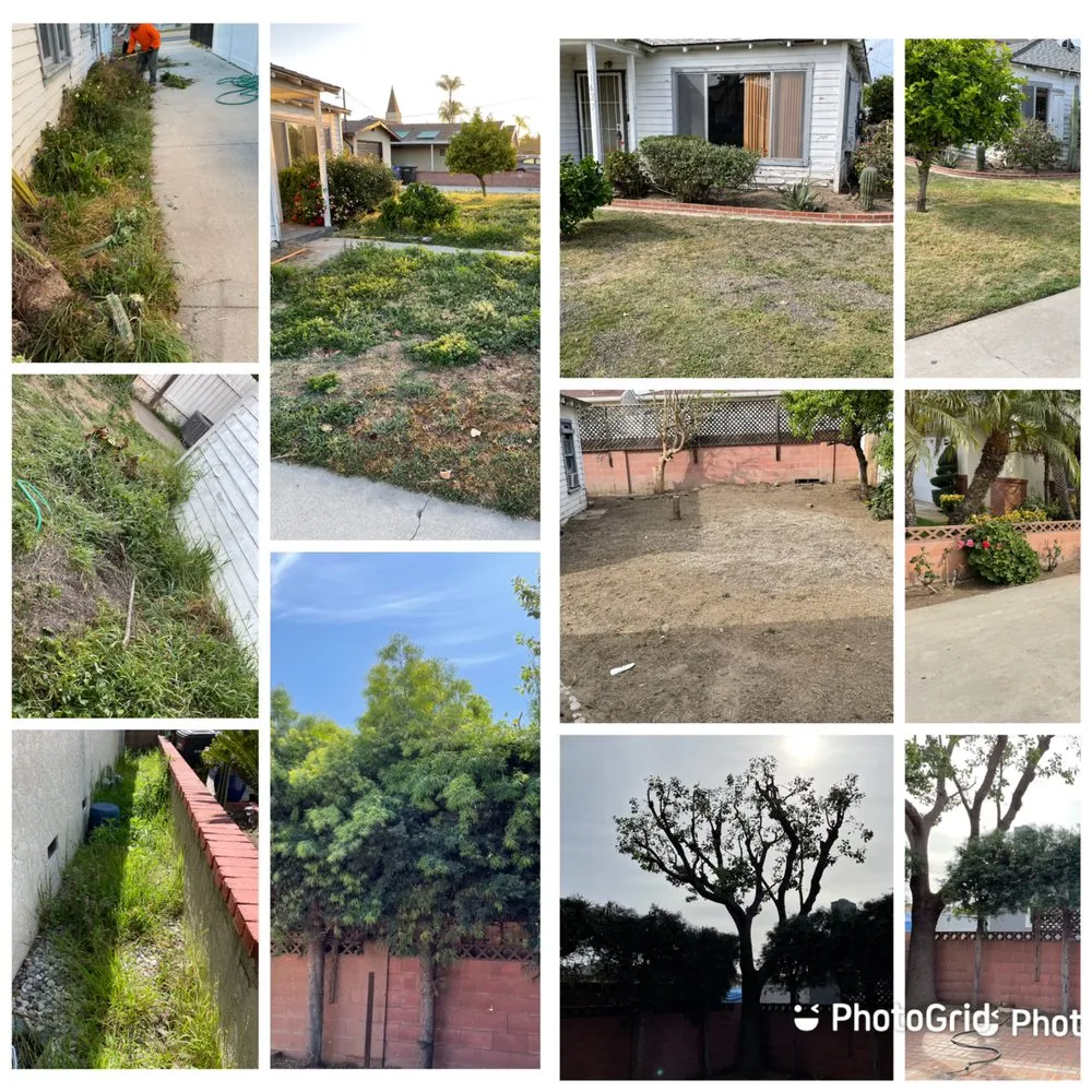 Affordable lawn mowing service in Santa Ana, CA - J.C.Gardening Services