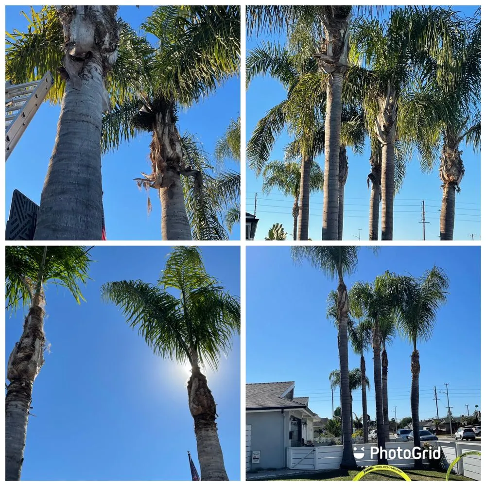 Trusted lawn mowing service for residential properties in Santa Ana, CA by J.C.Gardening Services