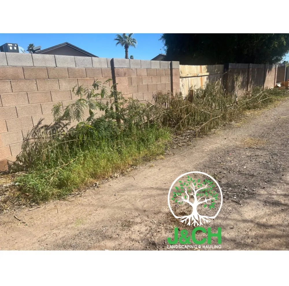 Expert lawn mowing service for outdoor upgrades across Phoenix, AZ - J&CH Landscaping & Hauling