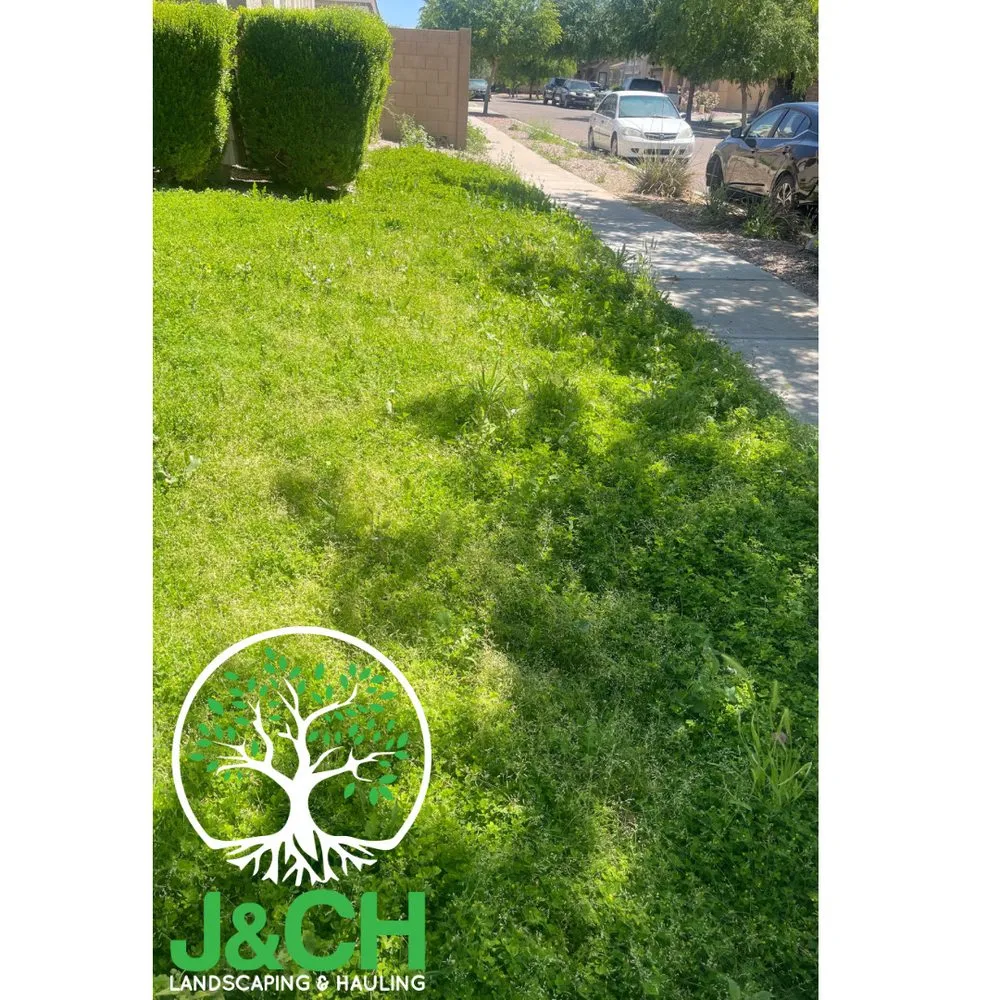 Custom landscape installation in Phoenix, AZ by J&CH Landscaping & Hauling