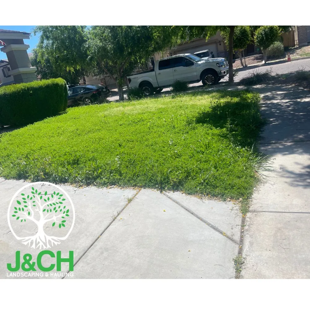 Local residential landscaping for residential properties across Phoenix, AZ - J&CH Landscaping & Hauling